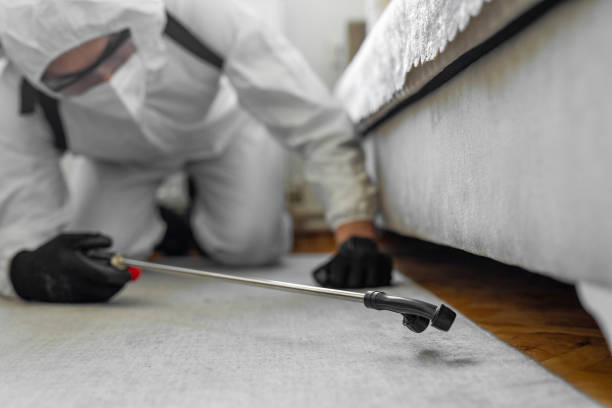 Professional Pest Control technician working in Douglas County County, IL